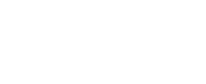Paul Llewellyn Logo Image